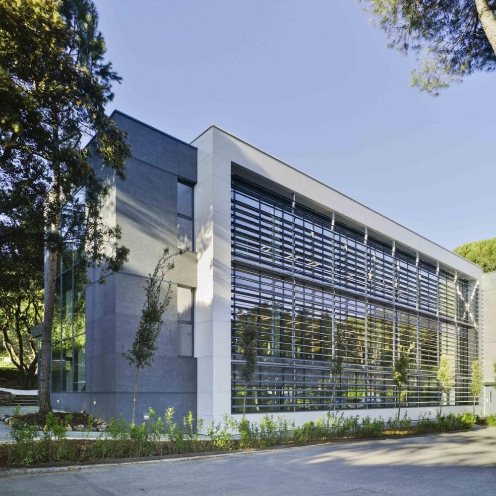 Liceo Europeo – Colegio International – La Moraleja – Imagen 2