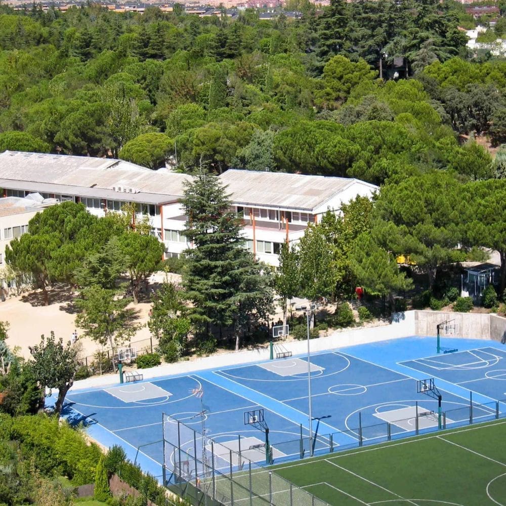 Liceo Europeo – Colegio International – La Moraleja – Imagen 4
